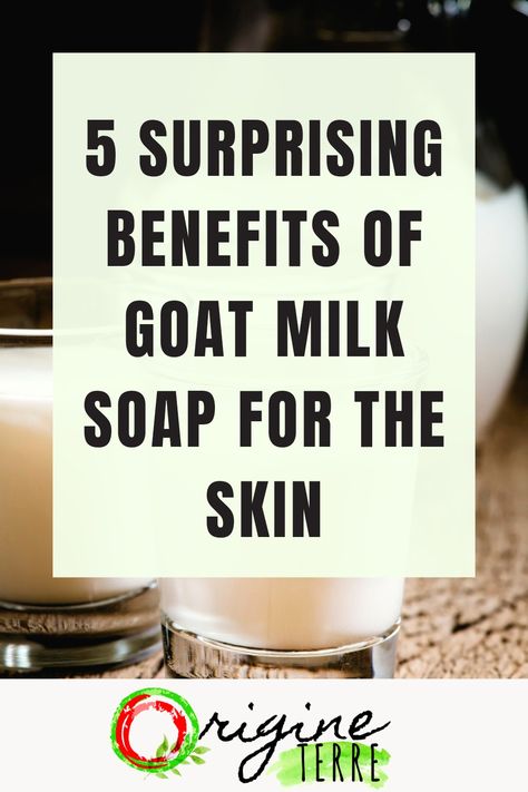 Goat milk soap is a great choice for people with sensitive skin. Here are 5 amazing benefits of goat milk soap that will make you want to switch over right away! Goat Soap Benefits, Benefits Of Goats Milk Soap, Goat Milk Soap Benefits, Goat Milk Benefits, Benefits Of Goat Milk, Goat Milk Soap Recipe, Goat Milk Products, Neem Soap, Soap Benefits