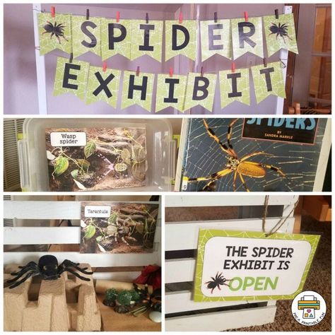 Nocturnal Animals Lesson Planning Page Spider Dramatic Play Preschool, Diy Dramatic Play, Dramatic Play Centers Preschool, Parts Of A Spider, Spiders Preschool, Dramatic Play Ideas, Spider Activities, Play Grocery Store, Play Preschool