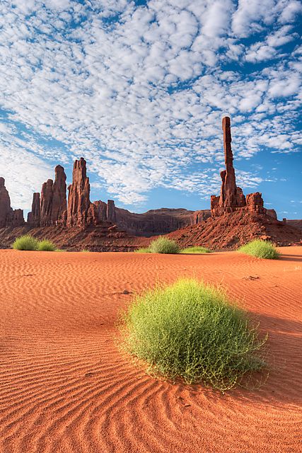 Monument Valley, Arizona more az photography, recipes, how tos, diy. Az travel at True-Arizona.org Photography Scenery, Monument Valley Arizona, Sonora Desert, Arizona Photography, Arizona Travel, The Desert, Amazing Nature, Nature Pictures, Nature Photos