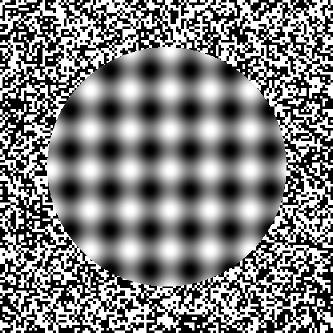 Kitaoka Out of focus OP Illusion # 16 Obstacle Illusions, Image Illusion, Optical Illusions Pictures, 4th Dimension, Illusion Pictures, Eye Tricks, Bridget Riley, Cool Illusions, Magical Images