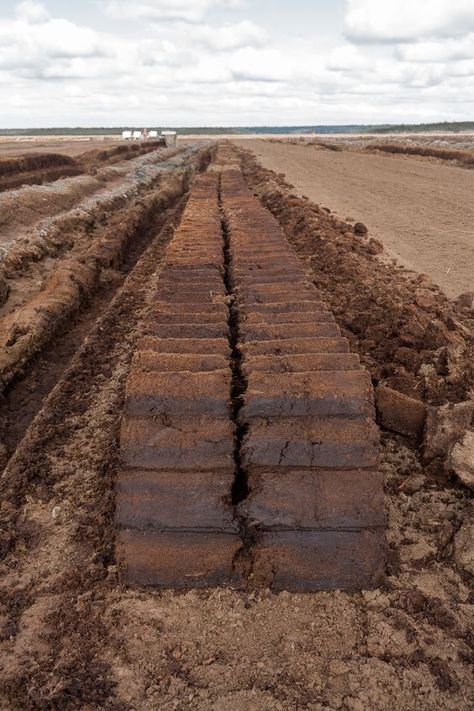 Peat logs drying. Hampton Court Flower Show, Peat Bog, Land Use, Peat Moss, Little Cottage, Flower Show, Landscape Wallpaper, Latvia, Railroad Tracks