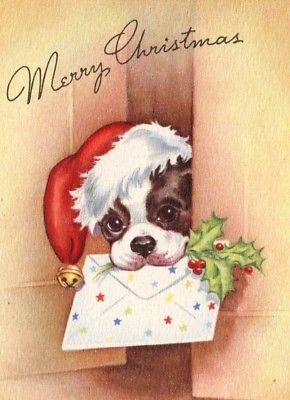 Vintage White Christmas, Boston Terrier Pug, Boston Terrier Christmas, Boston Terrier Art, Christmas Mail, Vintage Christmas Greeting Cards, Dog Greeting Cards, Boston Terrier Love, Boston Terrier Dog