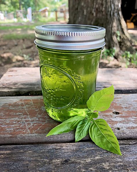 Rosemary Jelly Recipe, Basil Jelly, Jelly Coffee, Marmalade Sandwich, Grow Basil, Lemon Marmalade, Basic Food, Canning 101, Canning Fruit