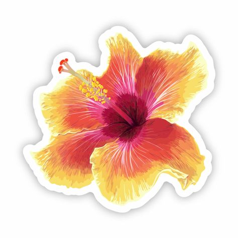 Hibiscus Sticker 3 Global Village Kailua Boutique Hydroflask Aesthetic Stickers, Nature Stickers Aesthetic, Hibiscus Flower Sticker, Island Stickers, Hibiscus Sticker, Tropical Stickers, Hibiscus Drawing, Stickers To Print, Summer Hibiscus