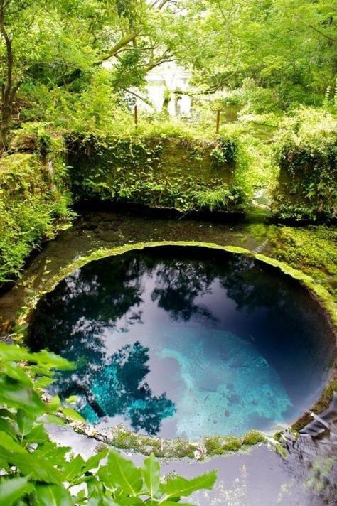 a small round pool made look all natural, with rocks and moss and greenery around will make you feel like in wild nature Natural Swimming Ponds, Bar Beer, Round Pool, Small Pool Design, Swimming Pond, Natural Pond, Natural Swimming Pools, Backyard Pool Landscaping, Natural Swimming Pool