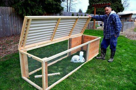 Rabbit Tractor, Rabbit Cages Outdoor, Rabbit Hutch Plans, Diy Rabbit Cage, Diy Rabbit Hutch, Quail Coop, Rabbit Pen, Outdoor Rabbit Hutch, Rabbit Enclosure