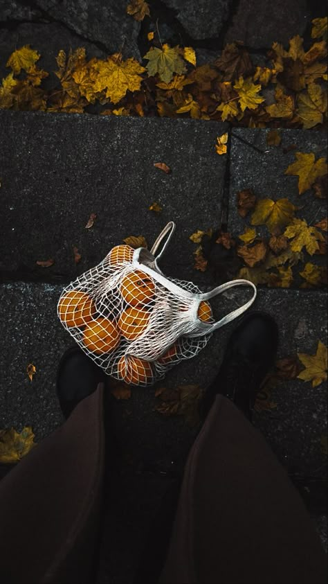 Fall Mood Board, Fall Inspo, Fall Feels, Autumn Cozy, Autumn Aesthetic, Fall Photos, Autumn Photography, Photo Instagram, Autumn Inspiration