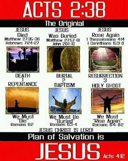 Acts Bible, Bible Genealogy, God Family Country, Acts 4 12, Acts 2 38, Romans 10, Bible Mapping, In The Name Of Jesus, Plan Of Salvation