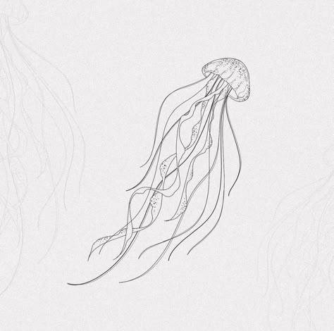 Ocean Tattoos Linework, Jellyfish Tattoo Linework, Jellyfish Tattoo Design Simple, Jelly Fish Tattoo Stencil, Fineline Jellyfish Tattoo, Jelly Fish Tattoo Fine Line, Fine Line Sketches, Fine Line Jellyfish Tattoo, Ocean Fine Line Tattoo