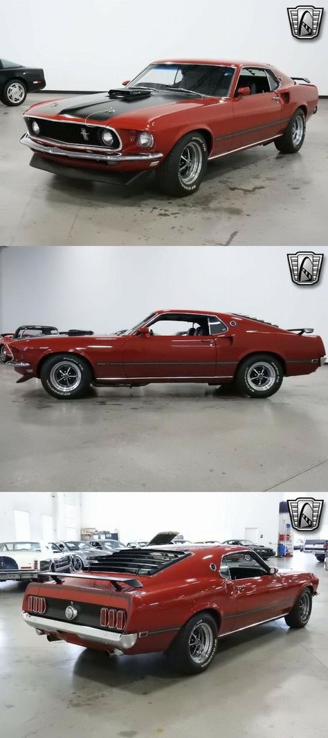 1969 Shelby Mustang Gt500, Ford Mustang 1969 Wallpaper, Ford Mustang 1969 Shelby Gt500, 1969 Ford Mustang Fastback, Ford Mach 1 Mustang, 1969 Mustang Fastback, Ford Mustang Mach 1 2021, Mach 1 Mustang, Mach 1 Mustang 1969