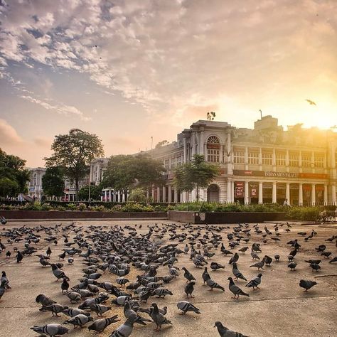 Dildilli on Instagram: “Connaught place 💜 . . 📸 @thecanonfanboy .  Keep following us for interesting pictures and don't forget to tag #dildilli on your beautiful…” Interesting Pictures, Connaught Place, Travel India, Thanks A Lot, India Tour, Type Setting, Fancy Jewelry, Incredible India, India Travel