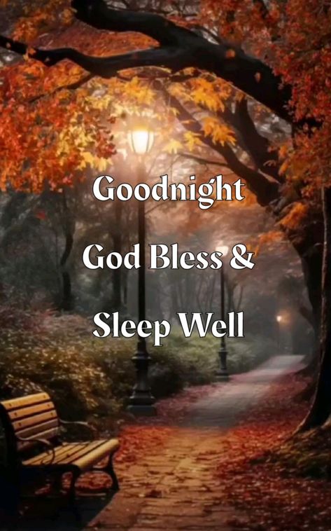 Good Night Fall, Goodnight Blessings, Good Night Meme, Good Night Blessings Quotes, Goodnight Messages, Goodnight Quotes Inspirational, Good Night Quotes Images, Goodnight Wishes, New Good Night Images