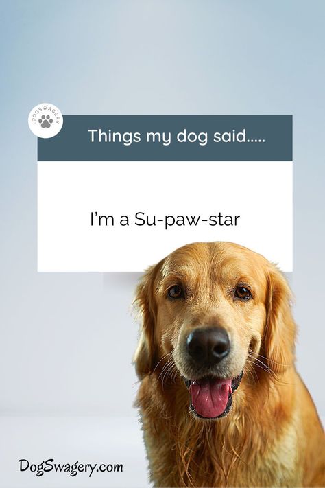 Discover over 400 quotes about dogs capturing their lovable and quirky personalities. #dogs #Dogquotes #quotes Funny Dogs Quotes, Quotes About Puppies, Dogs Sayings, Dog Captions For Insta, Dog Quotes Inspirational, Dog Instagram Captions, Quotes About Dogs, Quotes Spring, Puns Quotes