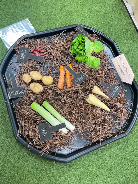 Sensory Classroom, Tuff Tray, Peter Rabbit, Food Items, Infants, Baby Room, First Birthdays, Tray, Birthday