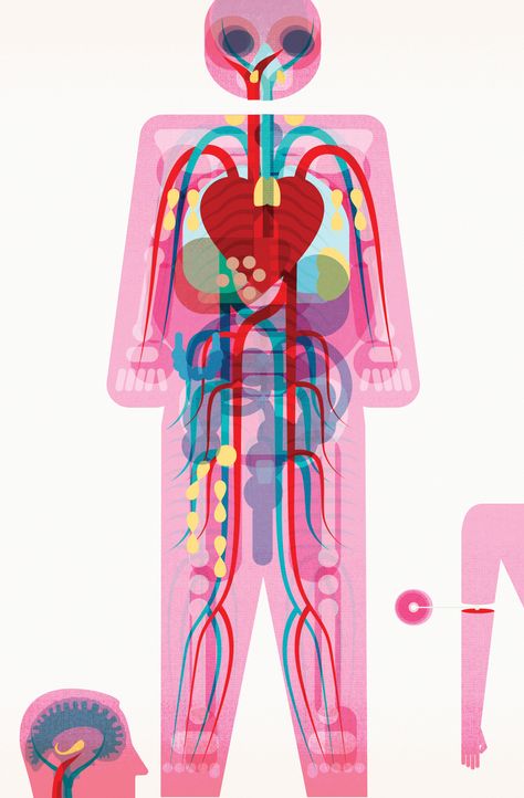 Circle Graphic Design, Body Illustration, Graphic Novel Illustration, Illustration Infographic, Systems Art, Human Bones, Graph Design, The Body Book, Different Art Styles