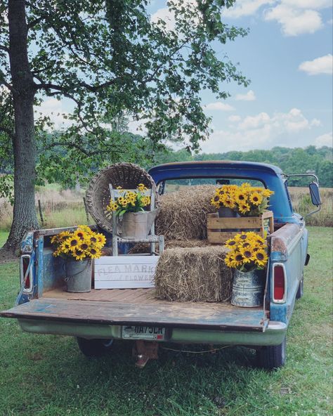 Sunflower Stand Photoshoot, Old Truck Fall Pictures, Easter Truck Photoshoot, Simple Fall Backdrops For Pictures, Small Town Fall Festival, Farm Photobooth, Country Photobooth, Fall Truck Mini Session, Fall Outdoor Photoshoot Setup