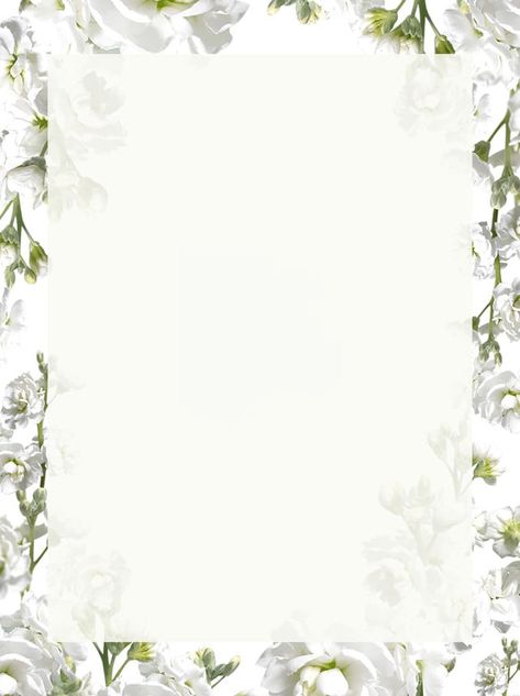 Summer Pure White Flowers Background Material Poster White Flower Border, Free Printable Borders, White Flowers Background, White Roses Background, White Floral Background, White Flower Background, Hello Quotes, Rose Texture, Summer Font