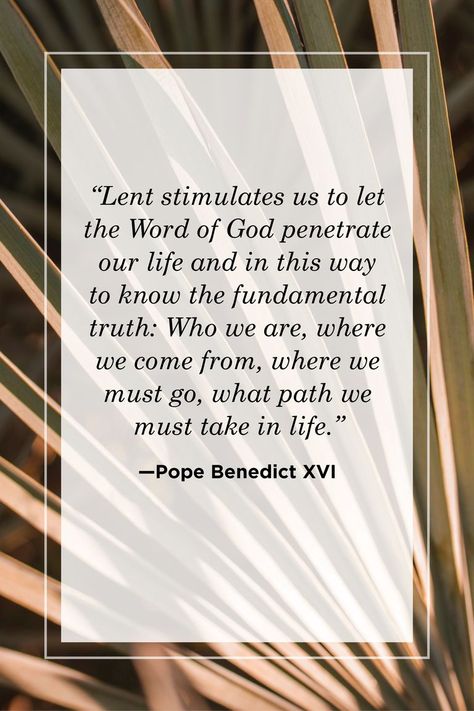 Lenten Season Quotes, Fasting Bible, Lent Quotes, St Augustine Quotes, 40 Days Of Lent, Catholic Lent, Most Inspirational Quotes, Lent Prayers, Fast And Pray