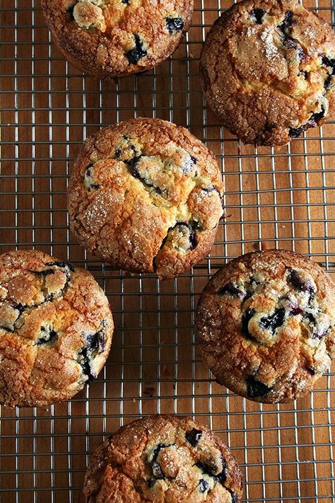 Lemon-Blueberry Muffins Lemon Blueberry Muffins Recipe, Jumbo Muffins, Lemon Blueberry Muffins, Blueberry Breakfast, Lemon Muffins, Muffin Recipes Blueberry, Chicken Tortilla, Blueberry Recipes, Tortilla Soup