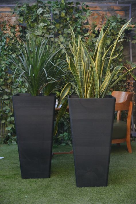 Transform your outdoor space into a welcoming oasis with our stylish collection, available in various sizes, shapes, and finishes. From sleek, contemporary designs to timeless classics, our entrance pots and planters are versatile enough to complement any architectural style and landscape.

#Tags:

#EntranceDecor #OutdoorPlanters #FrontDoorGreenery #HomeWelcoming #GardenStyle #PlantDecor #EntrywayCharm Flower Pot Entrance, Tall Black Pots By Front Door, Plant For Front Door Entrance, Plant Pots Outside Front Door, Pot Plant Front Door Entrance, Outdoor Tall Planters Front Door, Entrance Plants Outdoor Front Doors, Front Door Pots Plants Entrance Planters, Black Planters Front Door