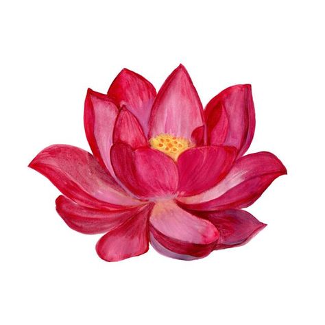 Learn How to Draw Flowers With These Step-by-step Instructions - Art Hearty Flower Art Watercolor, Abstract Lotus, Lotus Artwork, Lotus Flower Drawing, Lotus Drawing, How To Draw Flowers, Watercolor Lotus, Mandala Lotus, Lotus Flower Art