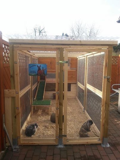 Diy Rabbit Hutch, Rabbit Pen, Outdoor Rabbit Hutch, Rabbit Enclosure, Rabbit Habitat, Two Rabbits, Bunny Hutch, Pet Bunny Rabbits, Raising Rabbits