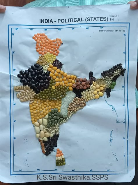 Geography Chart Ideas, Sst Activity For Class 4, Social Science Still Model Ideas, Sst Project Ideas, Pulses Art, Science Exhibition Projects, School Kids Crafts, School Board Decoration, Creative School Project Ideas