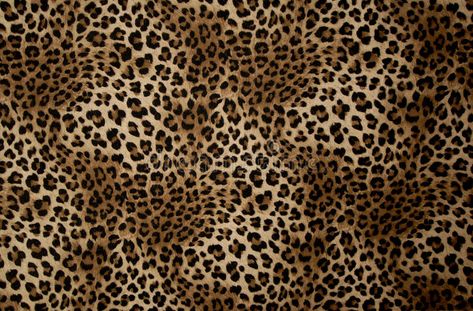 Speckled. Tissue such as the spotted leopard #Sponsored , #SPONSORED, #AD, #Speckled, #spotted, #leopard, #Tissue Glamour Wallpaper Laptop, Cheetah Print Wallpaper Laptop, Pc Walpaper, Cheetah Pictures, Macbook Air Wallpaper, Bath Runner Rugs, Animal Print Background, Pc Wallpapers, Leopard Fabric