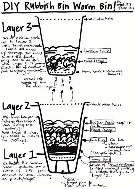 Diy Worm Farm, Worm Farm Diy, Worm Beds, Worm Composting Bin, Composting Bin, Worm Bin, Red Worms, Painting The Roses Red, Composting At Home