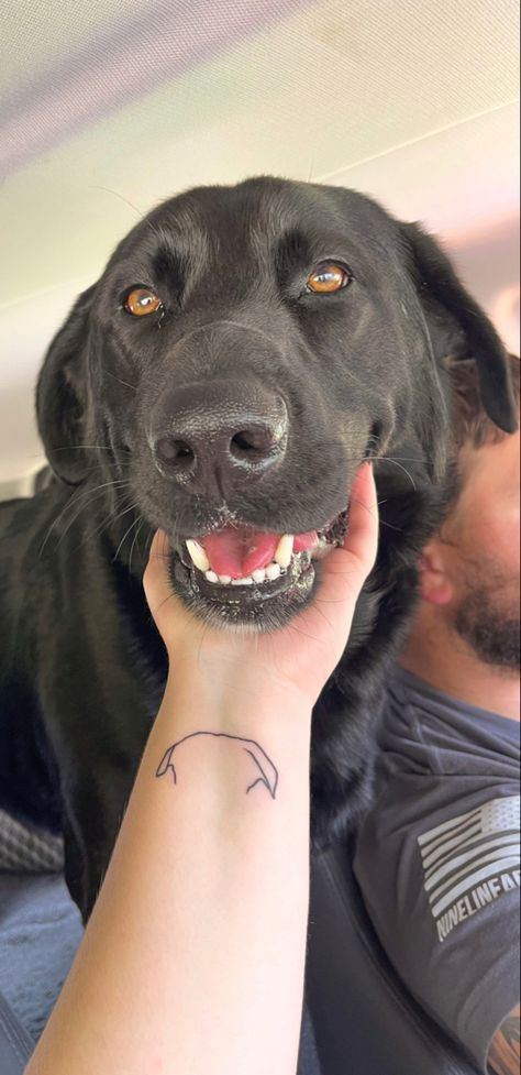 Small Dog Tattoos Labrador, Labrador Tattoos For Women, Lab Tatoos, Dog Tribute Tattoo Small Lab, Labrador Retriever Tattoo, Black Lab Memorial Tattoo, Labrador Tattoo Ideas, Labrador Tattoo, Dog Outline