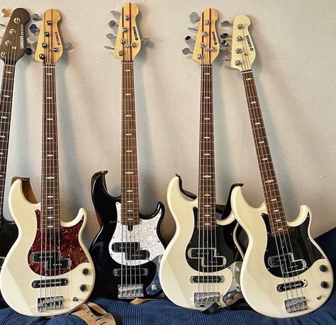 Is there a Yamaha BB club? There is now! | Page 383 | TalkBass.com Yamaha Bb Bass Guitar, Yamaha Bass Guitar, Yamaha Bass, Distortion Pedal, Happy New Year Everyone, Guitar Shop, One Year Ago, Snow And Ice, Bass Guitar