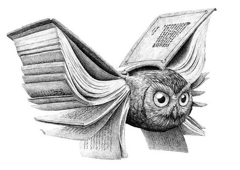 I really like this drawing  --  Redmer Hoekstra...books give you wings... Redmer Hoekstra, Owl Books, 동화 삽화, Best Pencil, Pencil Sketch Drawing, Drawing Eyes, Ink Drawings, Art Et Illustration, Reading A Book