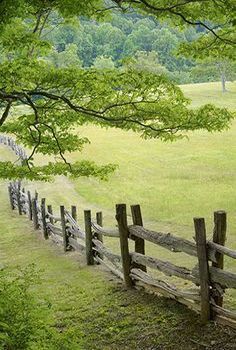 Fence Country Fences, Old Fences, Have Inspiration, Goonies, Country Scenes, Backyard Fences, Wooden Fence, Zaha Hadid, Garden Fencing