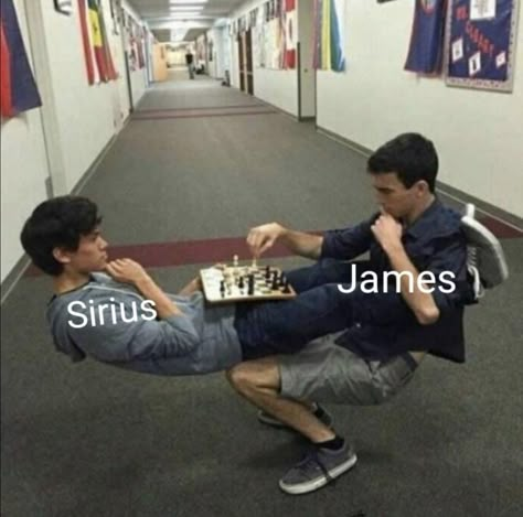 Sirius Black Memes Funny, James Potter Core, James Potter And Sirius Black, James And Sirius, Harry Potter Sirius Black, Harry Potter Sirius, Citate Harry Potter, Remus And Sirius, Marauders Harry Potter