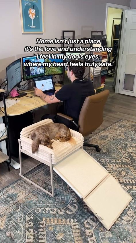 SeatMate - The Pet Office Chair | We’ve come a long way! Get one now! #fordogs #furmom #furdad | Instagram Dog Spaces, Office Dog, Pet Spaces, Dog Seat, Fur Mom, Window Bed, Dog Eyes, Pet Furniture, Dog Bed