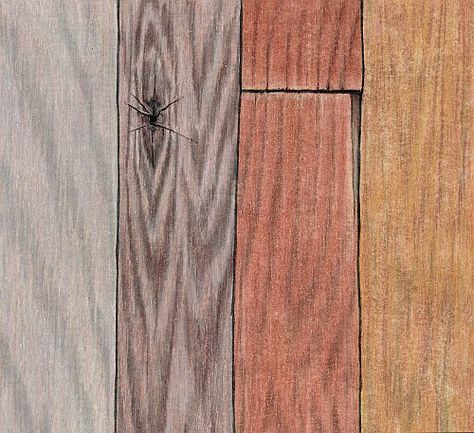 How to Draw Realistic Wood Grain Mastering Wood Grain How To Draw Wood, Grain Illustration, How To Draw Realistic, Comic Inspiration, Drawing Realistic, Draw Realistic, Realistic Rose, Texture Drawing, Apple Trees