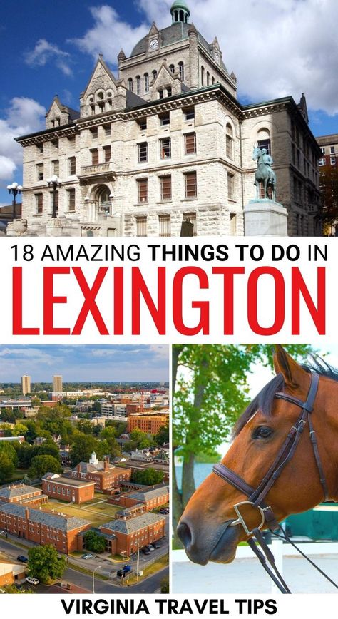 Are you looking for the best things to do in Lexington KY? This guide covers the most exciting Lexington attractions, restaurants, landmarks, and more! | Lexington KY things to do | What to do in Lexington KY | Lexington itinerary | Lexington KY bucket list | Places to visit in Lexington KY | Places in Lexington KY | Lexington KY museums | Lexington KY landmarks | Attractions in Lexington KY | Lexington KY restaurants | Lexington KY hotels | Lexington sightseeing Things To Do Lexington Ky, Lexington Ky Things To Do, What To Do In Lexington Ky, Lexington Ky Restaurants, Things To Do In Lexington Kentucky, Best Restaurants In Lexington Ky, Lexington Kentucky Restaurants, Lexington Kentucky Things To Do, Lexington Restaurants