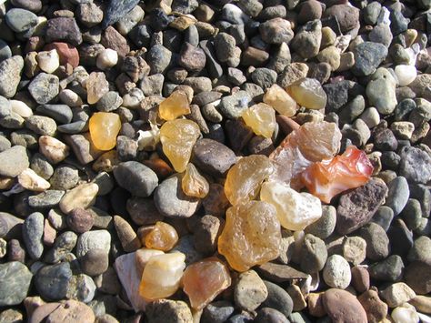 We've found a lot of agates at Westport over the years. They remind me of some fun times! Beach Agates, Agate Hunting, Anacortes Washington, Michigan Rocks, Rock Identification, Minerals Crystals Stones, Rock Tumbling, Agate Rocks, Lake Superior Agates