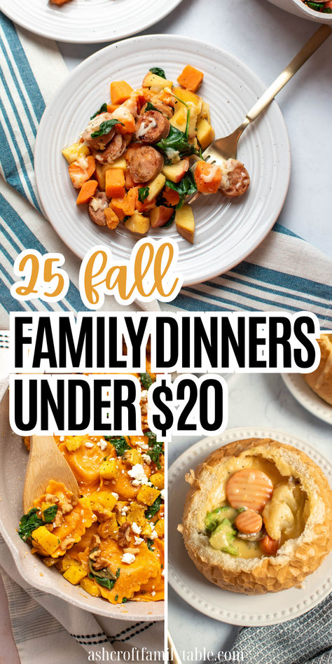 Pinterest graphic with photo collage of dinners with text that says "25 fall family dinners under $20" Easy Fall Meals Dinners Healthy, Dinner Under $20, Cheap Fall Dinners, Fall Dinners For Two, Easy Fall Meals Dinners, Fall Dinners For Family, Cheap Winter Meals, Winter Meals Easy, Meals Under 20$