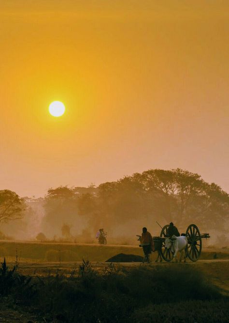 Sunrise at Rural area Maharastra Pakistan Landscape Photography, Indian Rural Aesthetic, Sunrise Photography India, Village Vibes, Media Aesthetic, Amazing India, Rural India, Beautiful Sites, Country Side