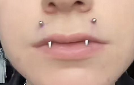 Angel Fangs Piercing, Angel Fangs, Dream Piercings, Angel Bites Piercing, Piercing Aesthetic, Angel Bites, Piercing Inspo, Small Lips, Face Piercings