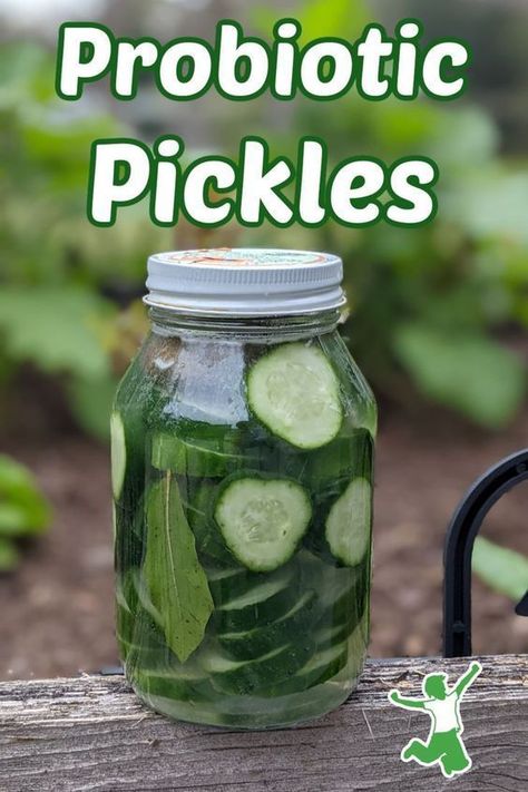 This probiotic pickles recipe from the Healthy Home Economist is amazing! Learn how to culture sliced cucumbers into probiotic fermented pickles that are crisp, tasty, and healthy. This recipe is simple to make and a delicious snack! Try it today! Probiotic Pickles, Fermented Pickles Recipe, Fermented Cucumbers, Pickling Vegetables, Sparkle Kitchen, Fermenting Weights, Pickles Recipe, Fermented Pickles, Probiotic Benefits