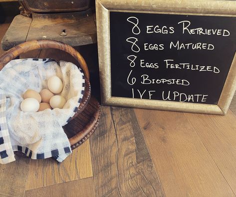 Egg retrieval update Egg Retrieval Ivf Letter Board, Egg Retrieval, Ivf Pregnancy, Ivf Journey, Ivf Baby, Felt Board, Cute Signs, Future Baby, Baby Photos