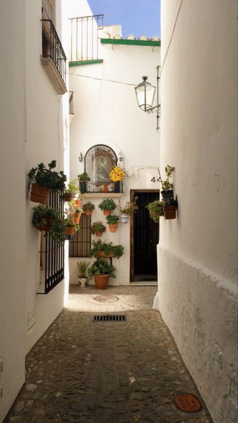 #spain #europe #balcony #cottagecore #flowers #architecture Gloria Core Aesthetic, Living In Spain Aesthetic, Europe Balcony, Andalucia Aesthetic, Spain Apartment, Flowers Architecture, Cottagecore Flowers, Bali Style Home, Spain Aesthetic