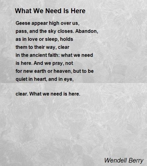 Geese appear high over us, pass, and the sky closes. Abandon, as in love or sleep, holds Poem Flower, John Clare, Flower Poem, Ezra Pound, Wendell Berry, Wild Geese, Custom Journal, Poem A Day, Beautiful Poetry