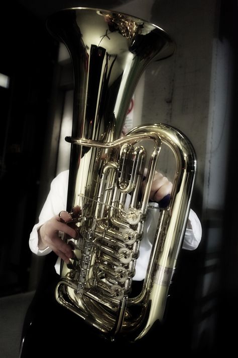 Untitled Baritone Aesthetic, Tuba Aesthetic, Peppermint Fizz, Pretty Instruments, Tuba Pictures, Characters Aesthetic, Brass Instrument, Brass Instruments, Celtic Music