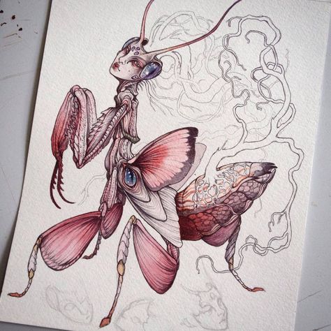 orchid mantis Orchid Mantis Tattoo, Caitlin Hackett, Mantis Tattoo, Orchid Drawing, Orchid Mantis, Orchid Tattoo, Tattoo Meaning, Insect Art, Community Art