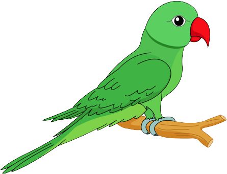 Parrot Images, Animal Clipart Free, Parrot Clipart, Parrot Cartoon, Free Cartoon Characters, Parrot Drawing, Budgies Bird, Parrots Art, Parrot Green