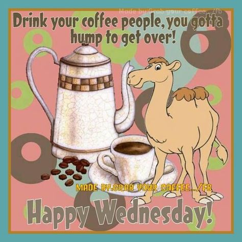 Drink Your Coffee People, You Gotta Hump To Get Over! Happy Wednesday! wednesday hump day wednesday quotes happy wednesday wednesday image quotes wednesday coffee quotes wednesday images wednesday pics Good Morning Wednesday Christmas, Hump Day Humor Wednesday, Wednesday Morning Coffee, Friday Drinking Quotes, Wednesday Christmas, Funny Wednesday, Hump Day Quotes, Wednesday Coffee, Wednesday Hump Day