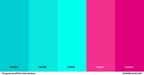 Turquoise And Pink Color Scheme » Pink Hot Pink Turquoise Color Palette, Pink And Blue Color Palette Bright, Turquoise And Fuschia, Color Palette Hot Pink, Colors That Go With Hot Pink, Hot Pink Color Combinations, Pink And Turquoise Aesthetic, Teal And Fuschia, Triad Color Scheme